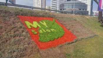 Интернет-магазин по продаже косметики